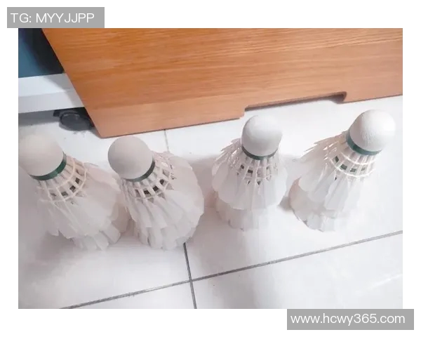 提升羽毛球技艺的健身器材推荐与使用指南